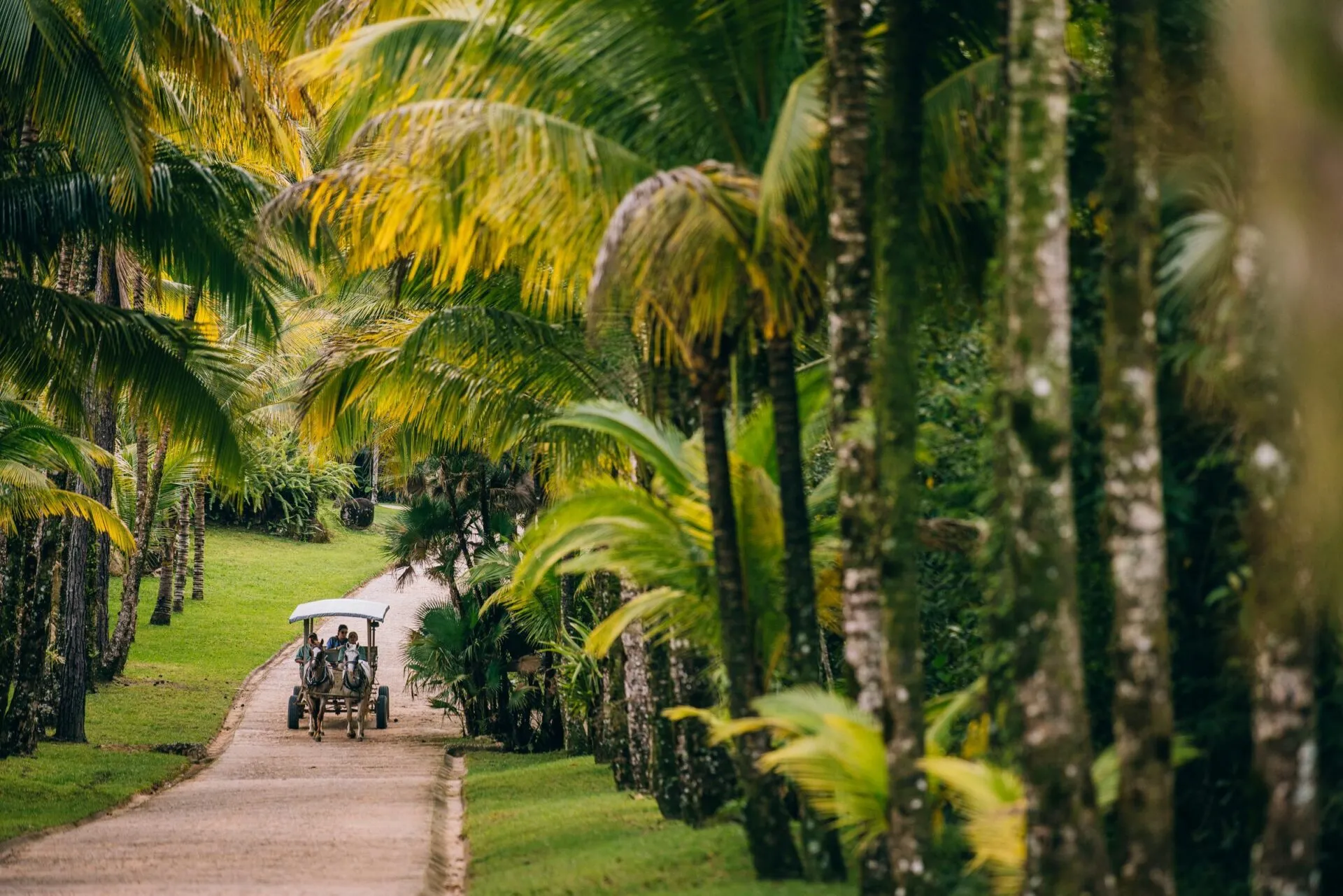 Horse and buggy ride at Blancaneaux Lodge, Belize
