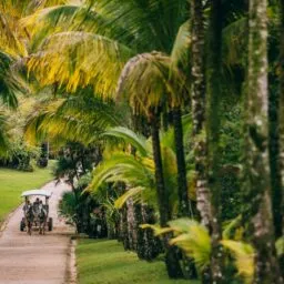 Horse and buggy ride at Blancaneaux Lodge, Belize