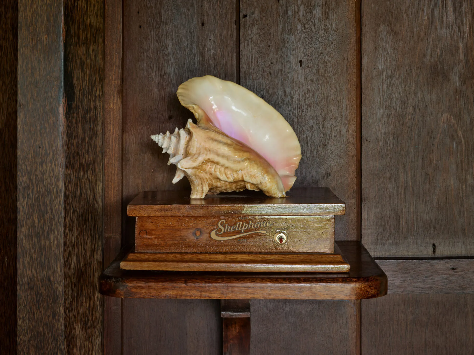 Shellphone at Turtle Inn, Belize