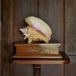 Shellphone at Turtle Inn, Belize