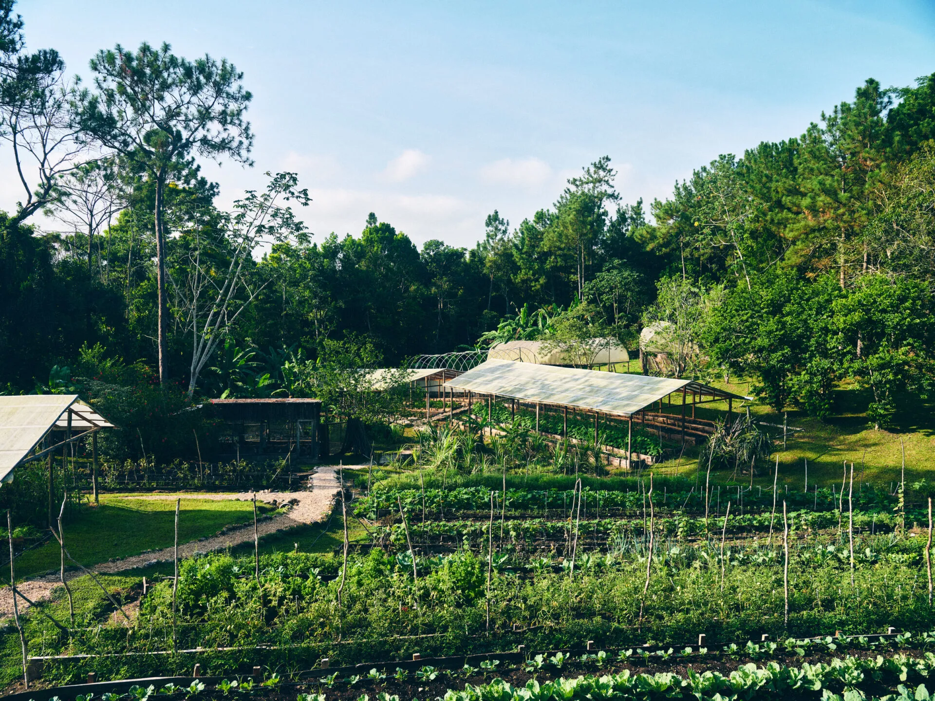 Organic garden at Blancaneaux Lodge, Belize