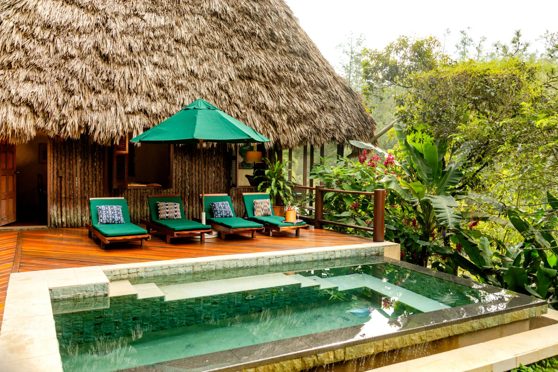 Pool at Francis Ford Coppola Villa at Blancaneaux Lodge