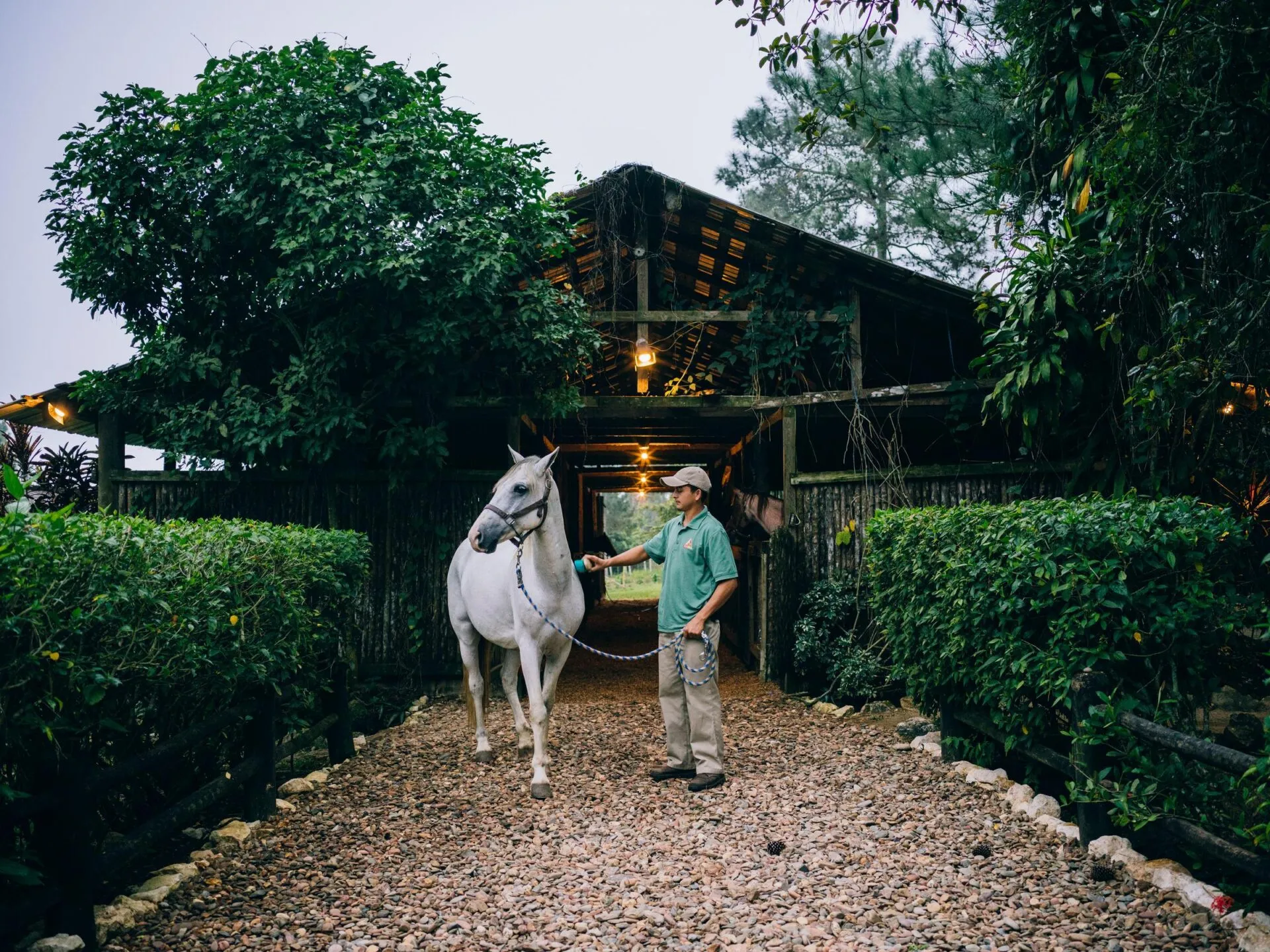 Horse being brushed outside the horse stables at Blancaneaux Lodge, Belize