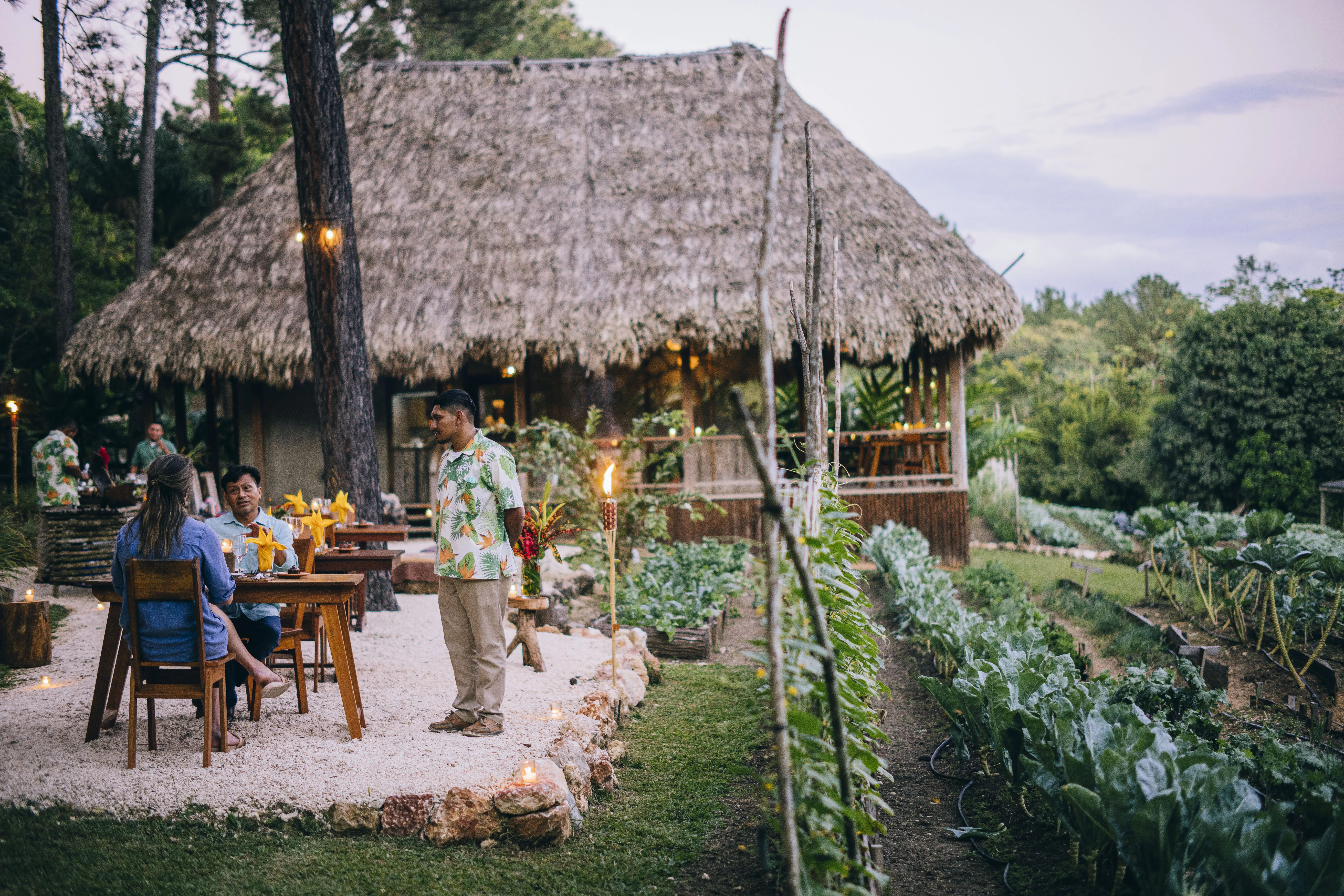 People dining outside