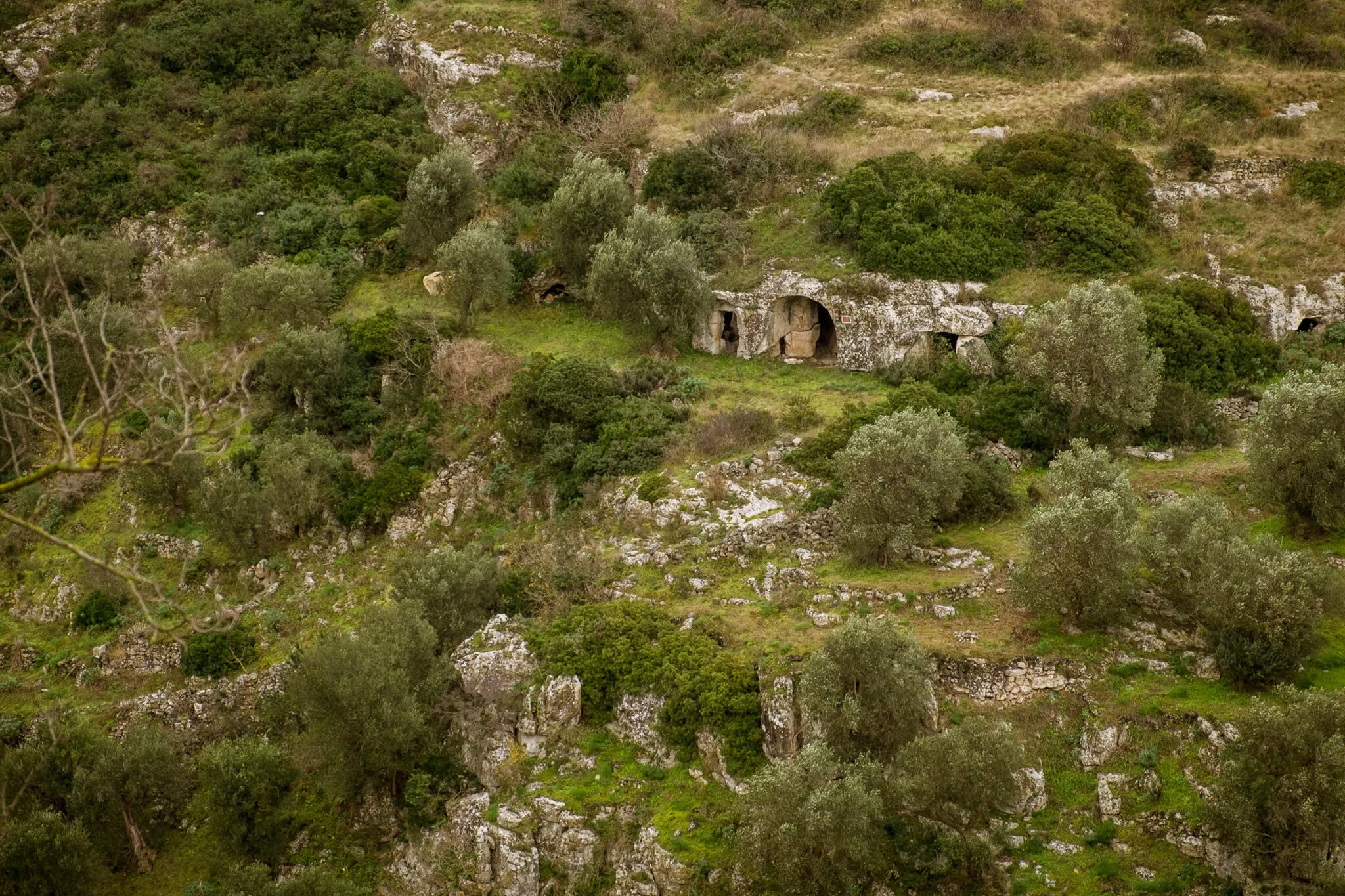 Rupestrian monastic settlement