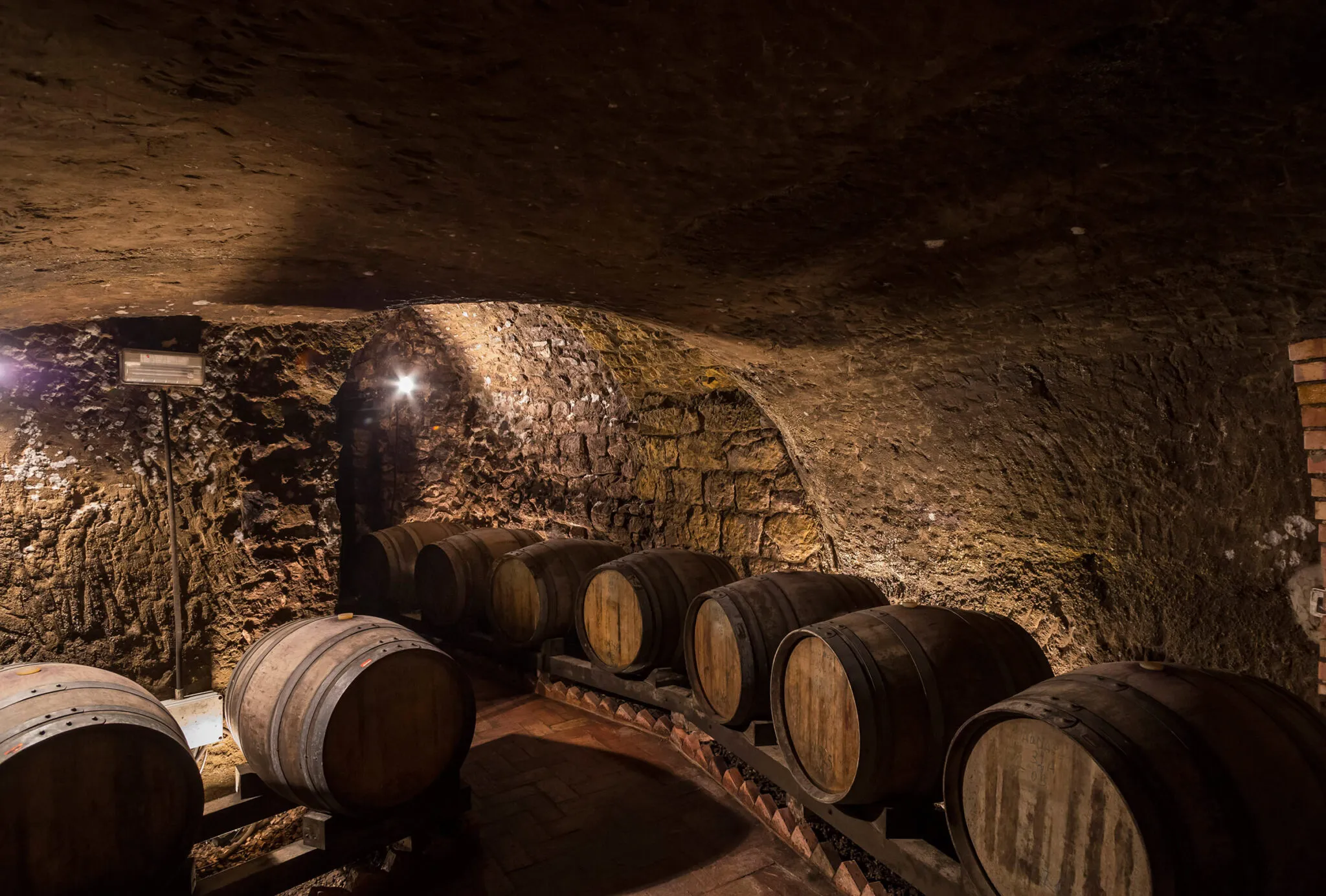 Wine barrels in storage