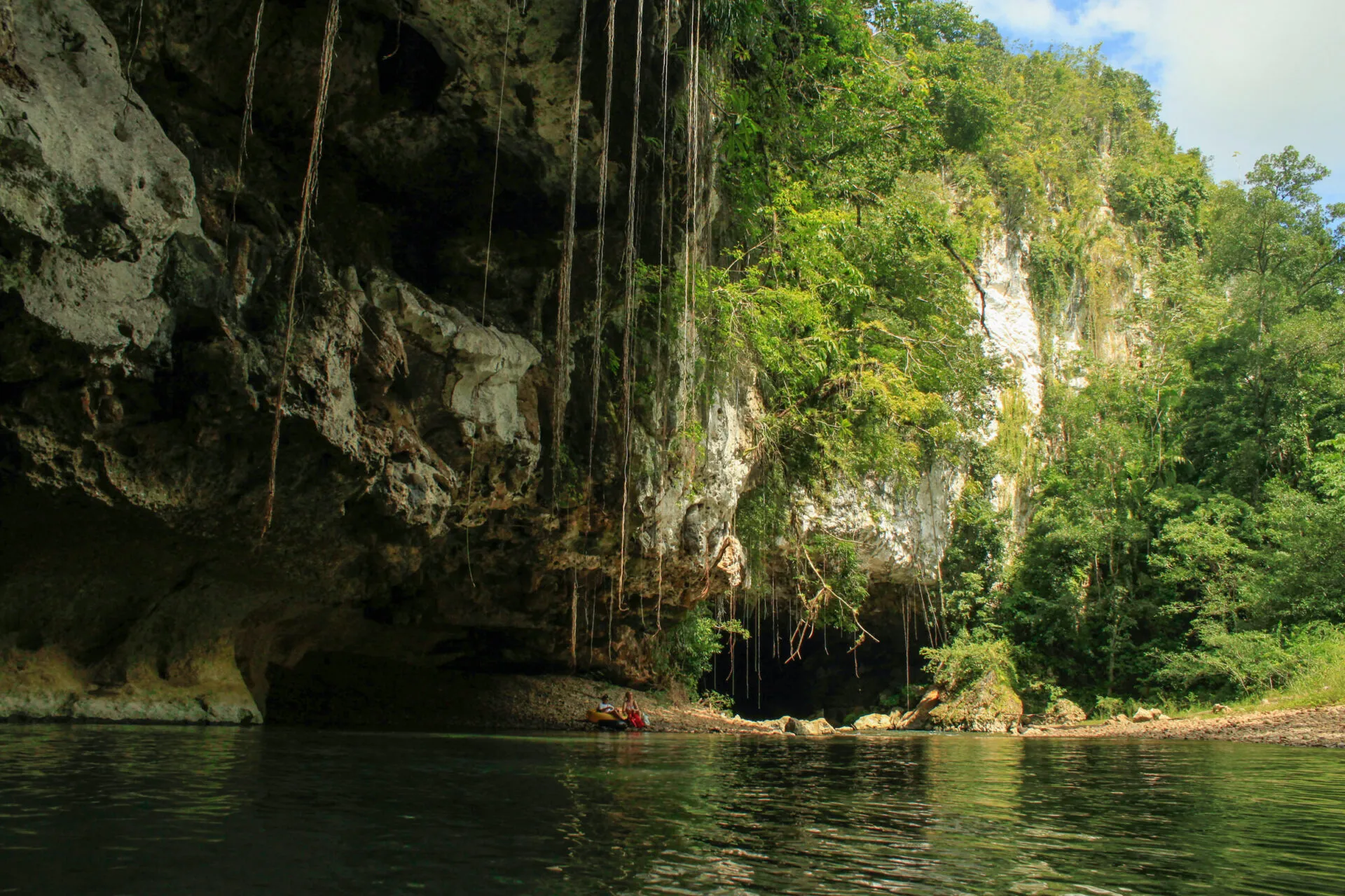 Hanging vines at the mouth of a cave