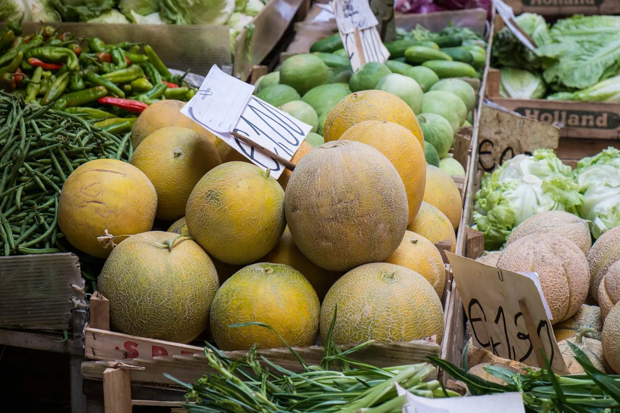 Melons for sale at a farmers market
