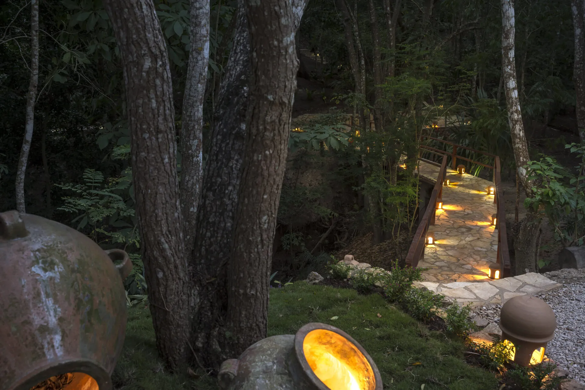 An illuminated path and trees at the Main Lodge at La Lancha.