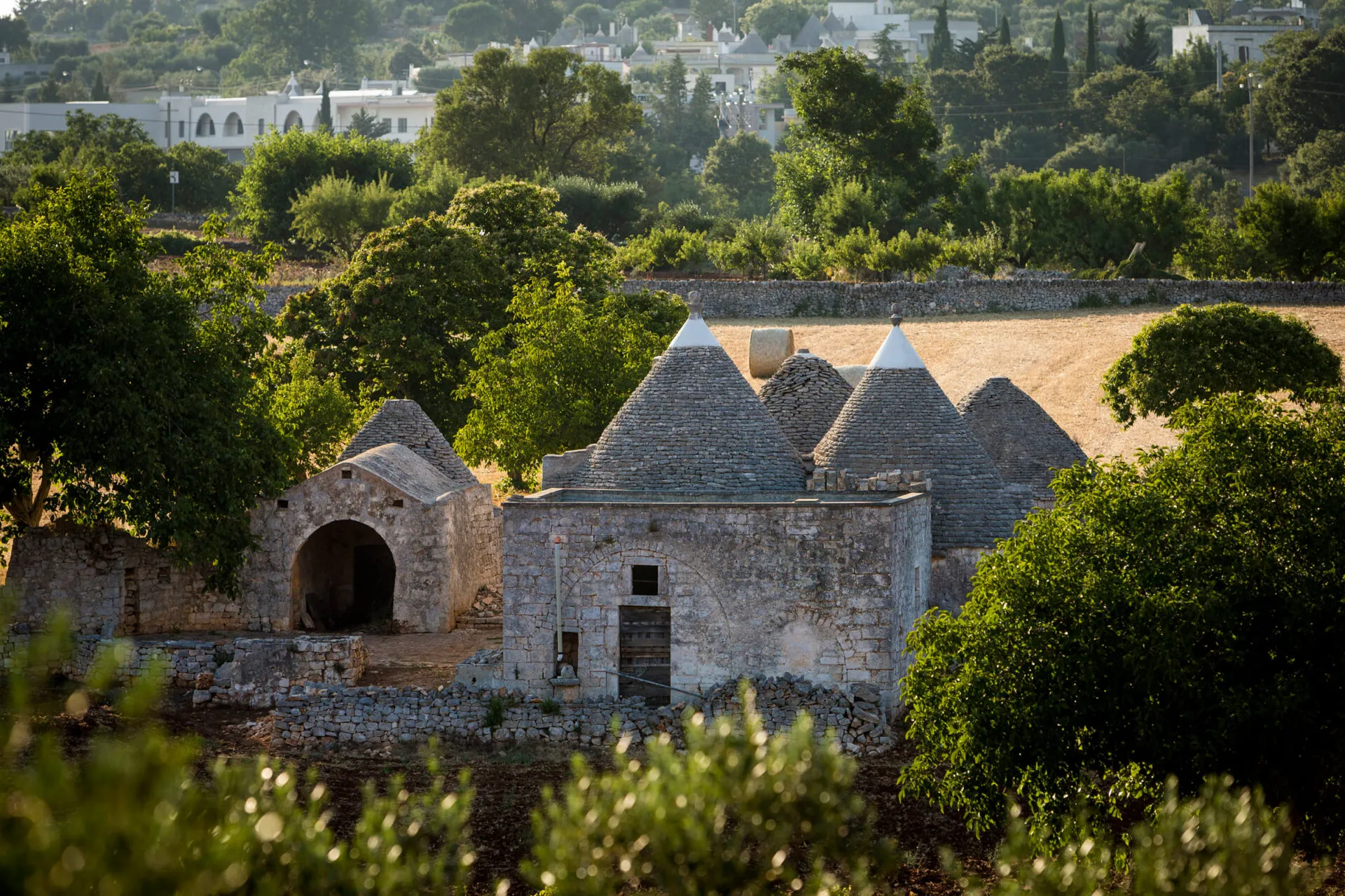 Stone houses with cone-shaped roofs in Valle d'Itria