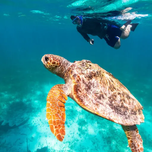 Can Tourism Help Save the Places It Endangers?