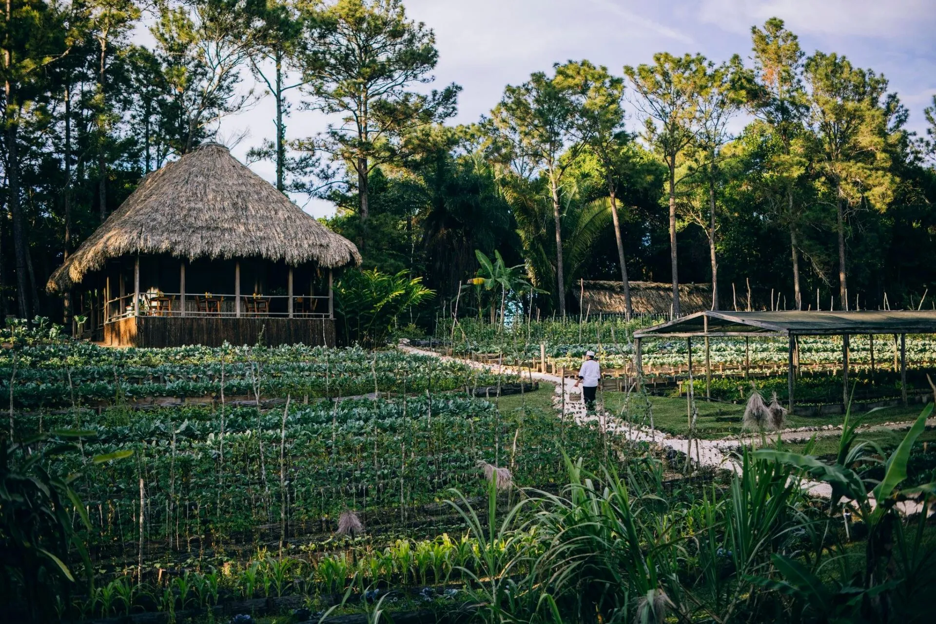 The garden and Garden Spot Restaurant at Blancaneaux Lodge, Belize
