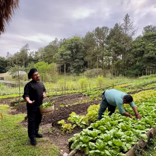 How Mayan Traditions Sustain Family Coppola Hideaways’ Restaurants