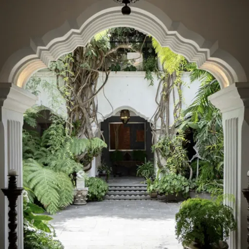 A Highlands-to-Lowlands Passage Through Guatemala