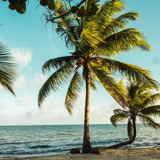 Discover the 30 Best Tropical Vacations Around the World