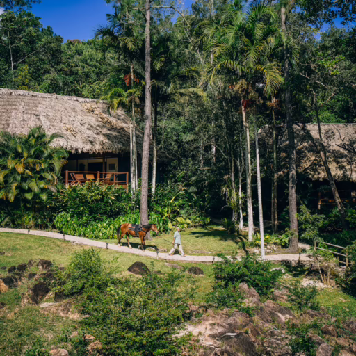The Family Coppola Hideaways’ Blancaneaux Lodge Epitomizes Quiet Luxury