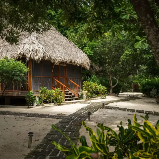 Francis Ford Coppola’s ‘Accidental Hotelier’ Venture and Local Retail Partnerships