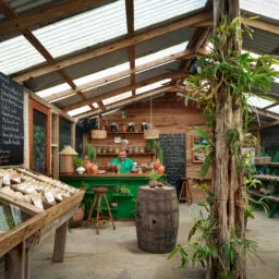 The Tea House at Turtle Inn